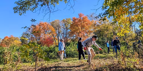 SWAG November meeting, attend in person or online