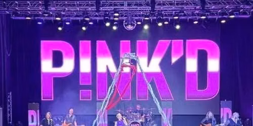 P!NK\u2019D at Spark!Fishers