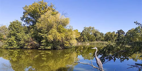 The Natural History of Washington Park