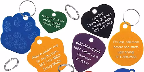 Free Engraved Pet ID Tag!