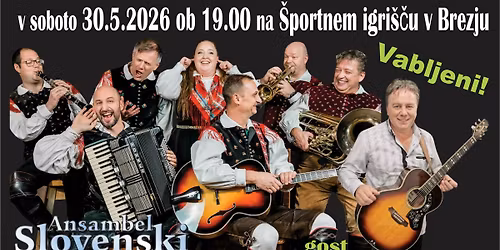 Veselica \u0160D Brezje - 30 let \u2013 Slovenski muzikantje & Ivan Hudnik