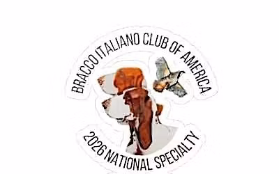 Bracco Italiano Club of America Trophy Sponsorship for 2026 NS & PS Shows