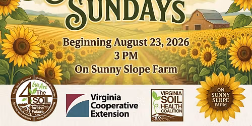 Sunflower Sundays On Sunny Slope Farm