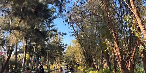 Experiencias Xochimilco - Amancer en kayak