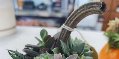 Pumpulent Centerpiece Workshop