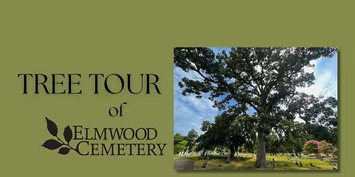 Tree Tour of Elmwood Cemetery