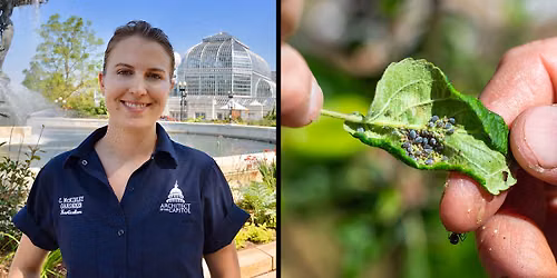 Expert Is In: Plant Health (On-site Drop-in Program)