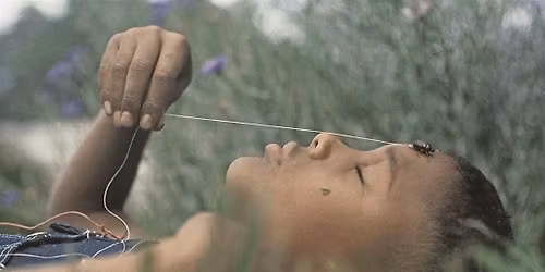 Alfreda's Black Earth, The Boys & The Bees & The Learning Tree (1969)