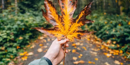 Fall Skills of a Naturalist: Autumn in the PNW