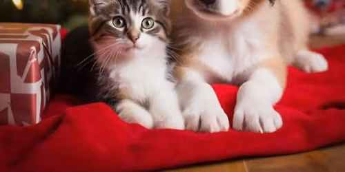 Giving Tuesday Yin Yoga and Sound 