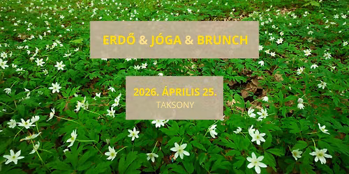 ERD\u0150 & J\u00d3GA & BRUNCH