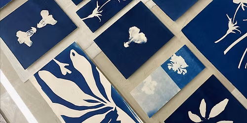 Coffee + Cyanotype
