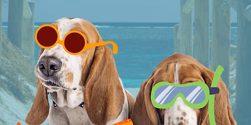 Basset Beach Day 