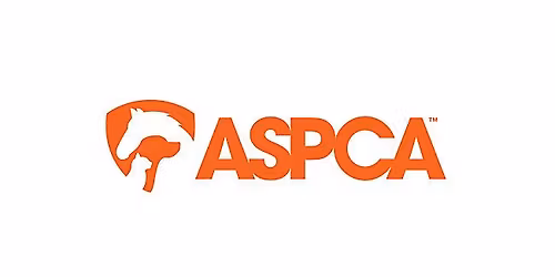 Friends For Advocacy