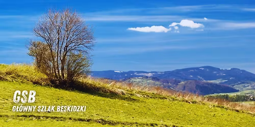 G\u0142\u00f3wny Szlak Beskidzki (etap 4\/12) - trekking g\u00f3rski