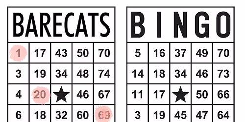 Barecats Bingo