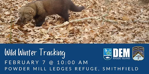 Wild Winter Tracking