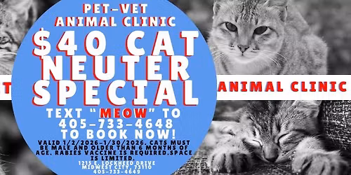 Pet-Vet Animal Clinic Cat Neuter Special