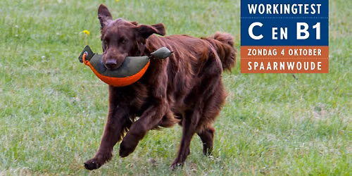 Workingtest C en B1- 4 oktober