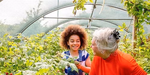 Saturday Volunteer & Learning Day on the Souper Farm 10.3