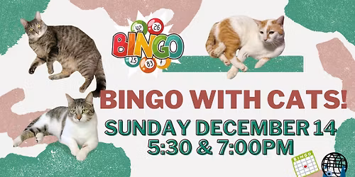  Bingo with Cats! December 14, 2025