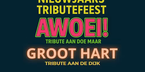 Nieuwjaars Tributefeest - AWOEI! & Groot Hart