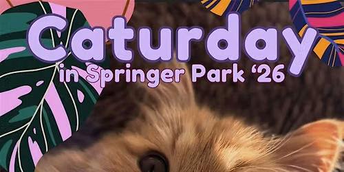 2nd Annual Caturday in Springer Park - Burnaby