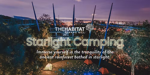 Starlight Camping