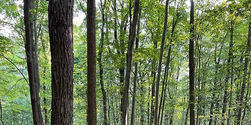 NJ Audubon: Morning Walk at Scherman Hoffman Wildlife Sanctuary