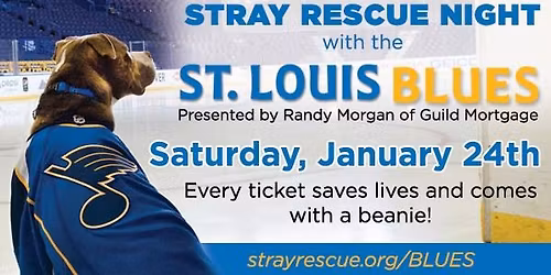 Stray Rescue Night with the Blues!