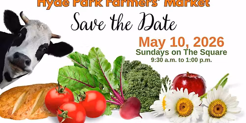 Hyde Park Farmer's Market Tour with Sophia