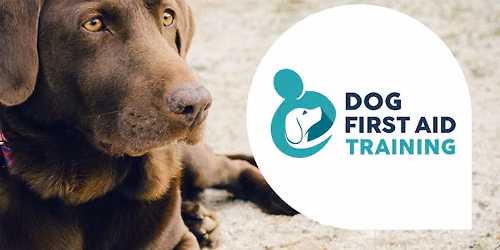 Worthing Dog First Aid Workshop