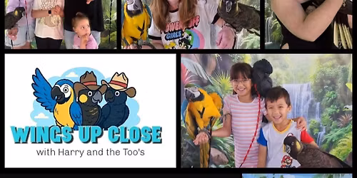 Bird handling experience