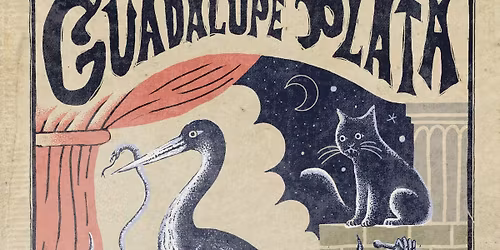 GUADALUPE PLATA en Madrid