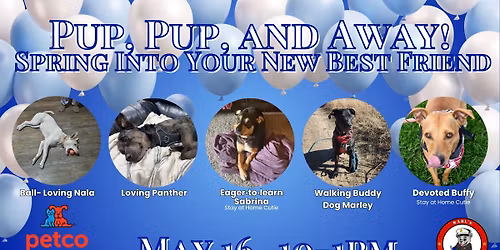 Pup, Pup, and Away! Spring Into Your New Best Friend