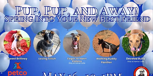 Pup, Pup, and Away! Spring Into Your New Best Friend