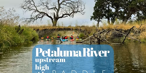 Petaluma River Upstream High Tide Paddle