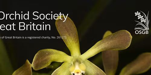 The Orchid Society of Great Britain Annual Photo Competition and Christmas Social