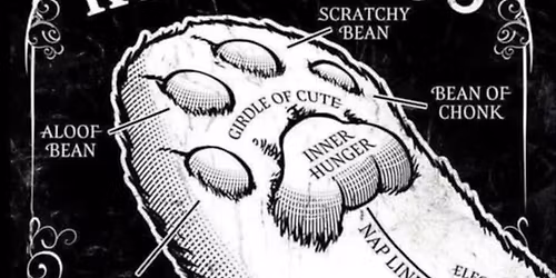 Pause with Paws - Runes, Tarot or Palm Reading