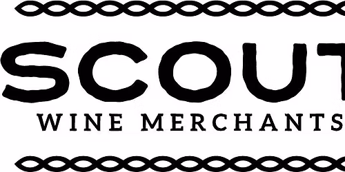 Burgundy Wines Perfect for Thanksgiving