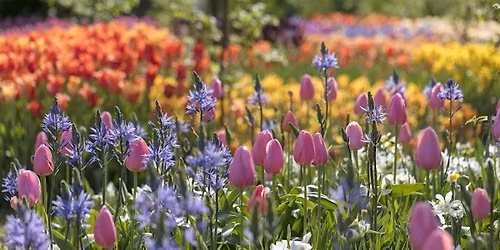 Voice Class B Recital