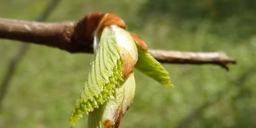 Cueillette Sensible et fabrication des mac\u00e9rats