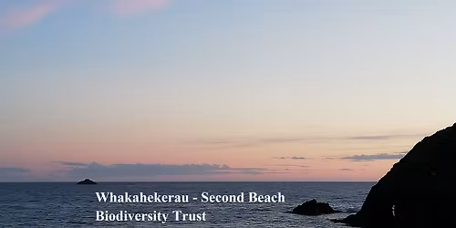 Sunday 21st December Work Day