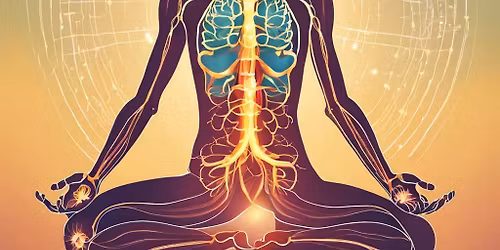 Vagus Nerve Reset: Half-Day Retreat in Winchester (UK)