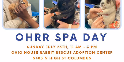 OHRR Bunny Spa Day 