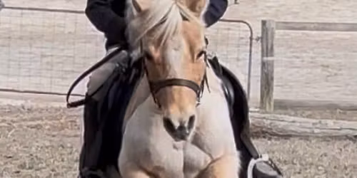 Cross Country Training Day