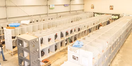 \ud83d\udc14 Albany & Districts Poultry Club (Inc) \ud83d\udd28 LIVE PURE BREED AUCTION \u2013 28th March \ud83d\udd28