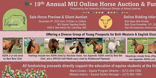 2025 Sale Horse Preview & Silent Auction