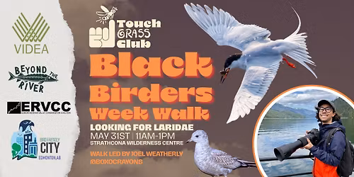 Black Birders Week Walk: Searching for Laridae