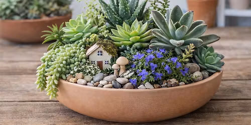 Succulent dish garden
